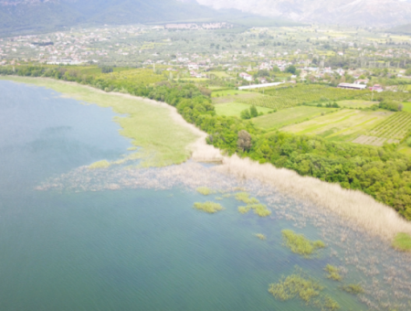 Grundstück Zum Verkauf In Köyceğiz Olivengebiet