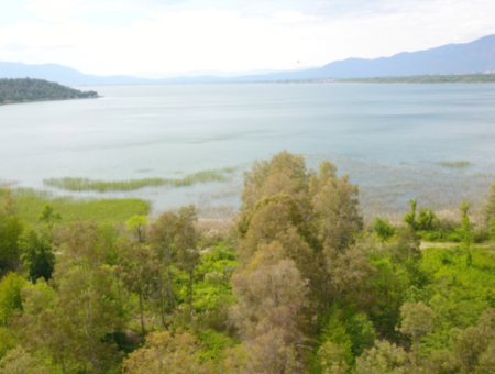 Grundstück Zum Verkauf In Köyceğiz Olivengebiet