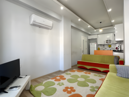 Furnished And 2 Air-Conditioned Apartments For Rent In The Center 1 1 Garden